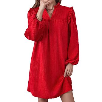 Women's Ruffle Neck Long Sleeve Mini Dress Casual Daily Wear