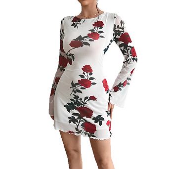 Women's Floral Print Mesh Mini Dress Long Sleeve Sleeve Party Wear