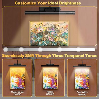 Dimmable Cordless Picture Light Rechargeable Wall Sconce with Remote Timer for Gallery Artwork