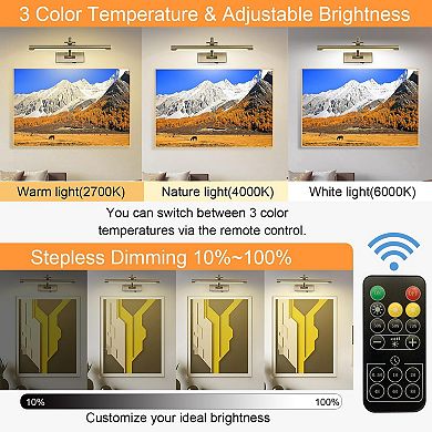Rechargeable LED Picture Light Wireless Art Gallery Lamp 15.7" Adjustable Arm Dimmable Remote Timer