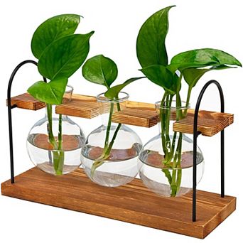Plant Terrarium Wooden Stand Propagation Station Retro Glass Bulbs Hydroponic Display Home Office