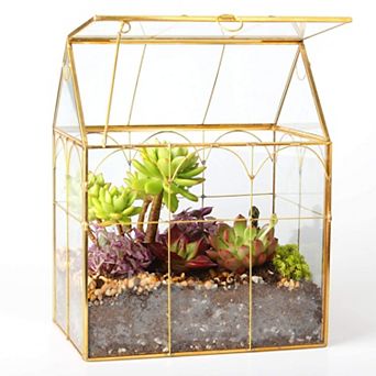 Glass House Terrarium Succulent Planter Geometric Plant Container Home Garden Office Decoration