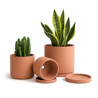 Terracotta Pots for Plants 4.2/5.3/6.5 Inch Succulent Planter with Drainage Hole and Saucer