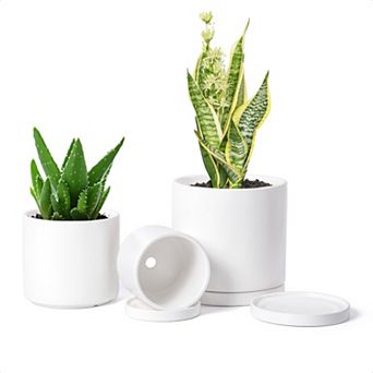 Terracotta Pots for Plants 4.2/5.3/6.5 Inch Succulent Planter with Drainage Hole and Saucer