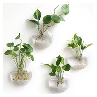 Wall Hanging Glass Terrariums Oblate Planter Hydroponics Plants Home Decor