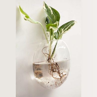 Wall Hanging Glass Terrariums Oblate Planter Hydroponics Plants Home Decor
