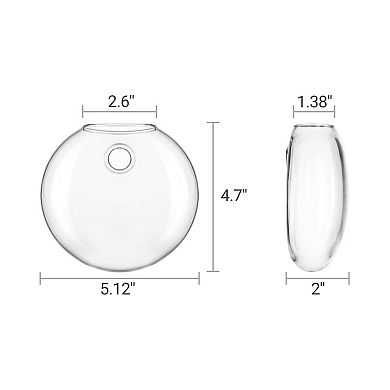 Wall Hanging Glass Terrariums Oblate Planter Hydroponics Plants Home Decor