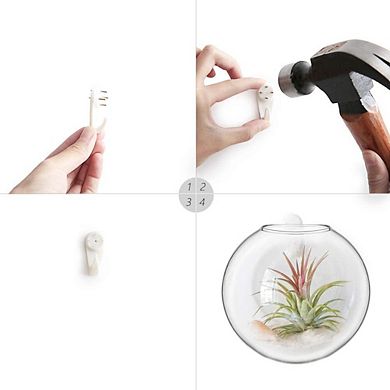 Wall Hanging Glass Terrariums Oblate Planter Hydroponics Plants Home Decor
