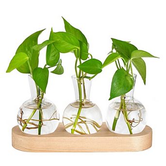 Desktop Plant Propagation Glass Vase Station Retro Terrarium Wooden Tray Bulb Flower Container