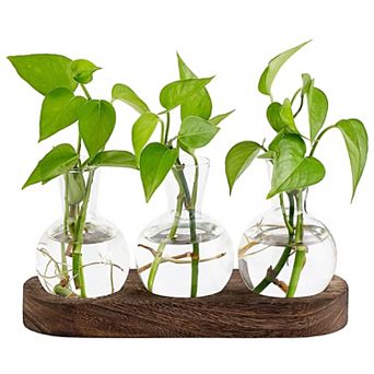Desktop Plant Propagation Glass Vase Station Retro Terrarium Wooden Tray Bulb Flower Container