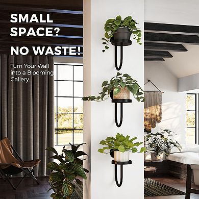 Wall-Mounted Plant Hanger Indoor Window Shelf 3pcs Space-Saving Decor