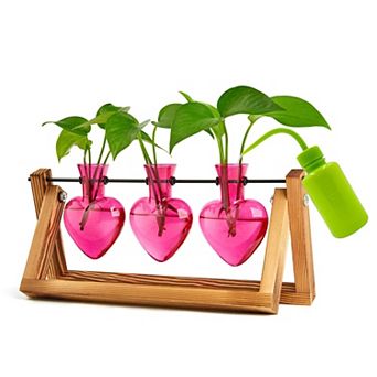 Plant Terrarium Propagation Station 3 Heart Glass Vases Wooden Stand Hydroponics Home Office Decor