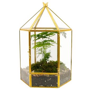 Glass House Terrarium Geometric Succulent Air Plant Planter Home Garden Office Decoration No Plants