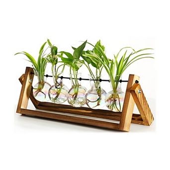 Plant Terrarium Wooden Stand 5 Bulb Glass Vase Hydroponic Propagation Station Home Office Decor