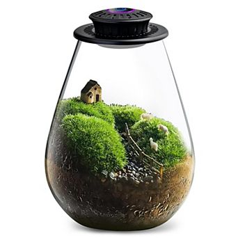 Glass Plant Terrarium with LED Grow Light 7.9" Borosilicate Glass Adjustable Ventilation Timer