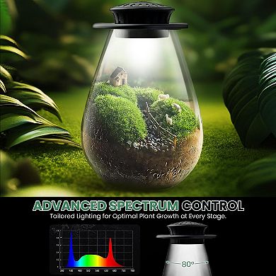 Glass Plant Terrarium with LED Grow Light 7.9" Borosilicate Glass Adjustable Ventilation Timer