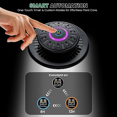 Glass Plant Terrarium with LED Grow Light 7.9" Borosilicate Glass Adjustable Ventilation Timer