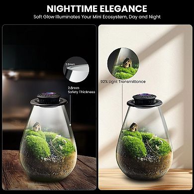 Glass Plant Terrarium with LED Grow Light 7.9" Borosilicate Glass Adjustable Ventilation Timer
