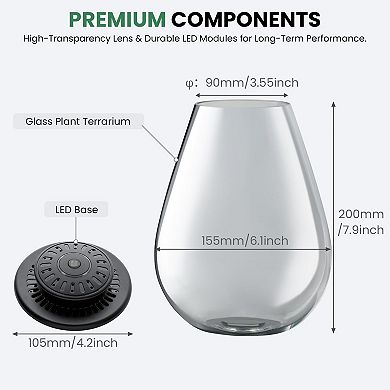 Glass Plant Terrarium with LED Grow Light 7.9" Borosilicate Glass Adjustable Ventilation Timer