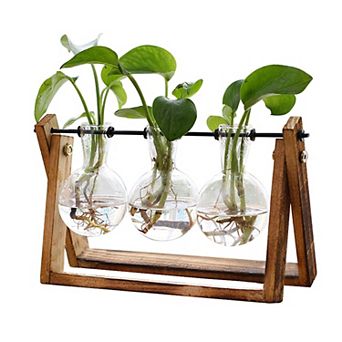 Plant Terrarium Wooden Stand 3 Bulb Glass Vase Hydroponics Home Office Decor