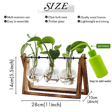 Plant Terrarium Wooden Stand 3 Bulb Glass Vase Hydroponics Home Office Decor