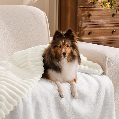 Sherpa Throw Blanket Soft Warm Striped Plush Cream