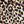 Brown Leopard