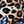 Butterfly Leopard