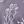 Grayish Purple