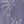Misty Lilac