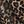 Leopard Print