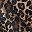 Leopard Print