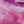 Rose Pink Print