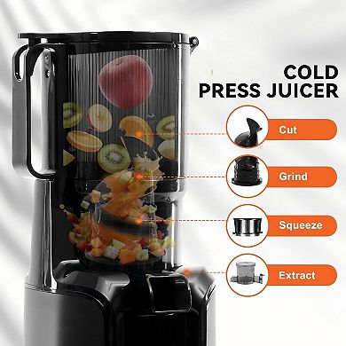 Masticating Juicer with High Juice Yield, Reverse Function
