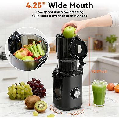 Masticating Juicer with High Juice Yield, Reverse Function