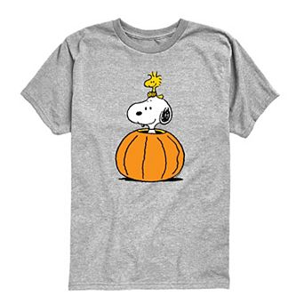 Toddler Boy Peanuts Snoopy & Woodstock Pumpkin Short Sleeve Graphic Tee