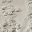 Pumice Stone