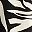 Black White Plant