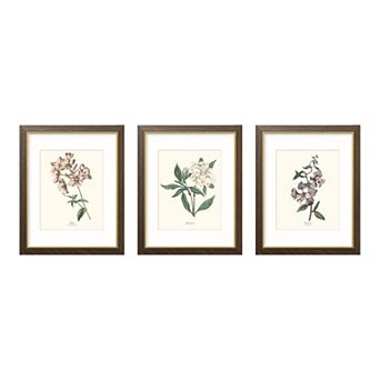 Belle Maison 15.5"x12.5" Matted to 11"x14" Wall Frame 3 pc Set