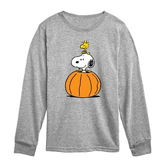 Toddler Boy Peanuts Snoopy & Woodstock Pumpkin Long Sleeve Graphic Tee
