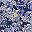 Navy And White