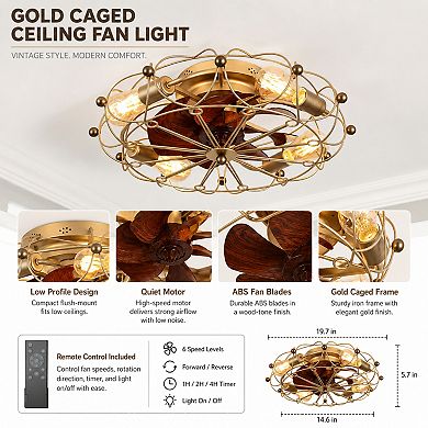 BAOURE ABS Modern Industrial Caged Ceiling Fan with Lights and Remote Control