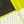 Fluorescent Yellow