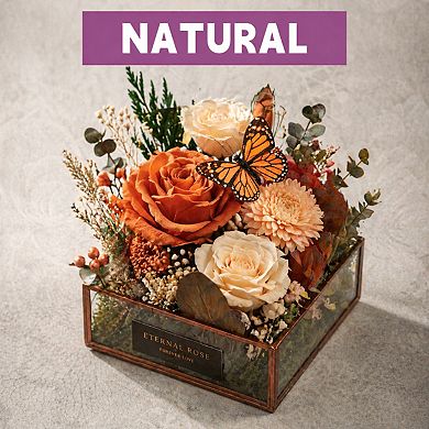 Forever Preserved Roses in Glass Dome with Butterfly LED Light Gift for Mom Wife