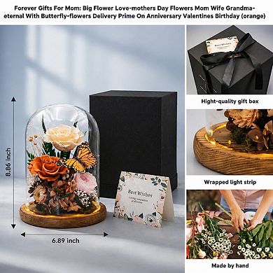 Forever Preserved Roses in Glass Dome with Butterfly LED Light Gift for Mom Wife