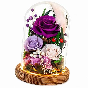 Forever Preserved Roses in Glass Dome with Butterfly LED Light Gift for Mom Wife