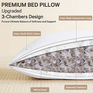 Inhand Goose Down Feather Pillows with Silk Pillowcases, Hotel Soft Bed Pillow for Side Back Sleeper