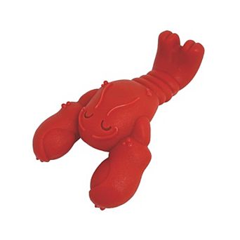 Aggressive Chewer Dog Toy