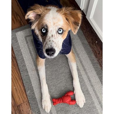 Aggressive Chewer Dog Toy