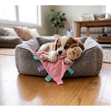 Plush Blanket Squeaky Dog Toy